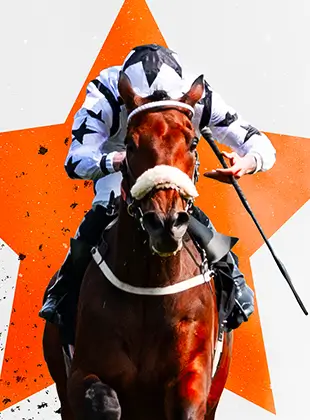 Cheltenham Racing horse