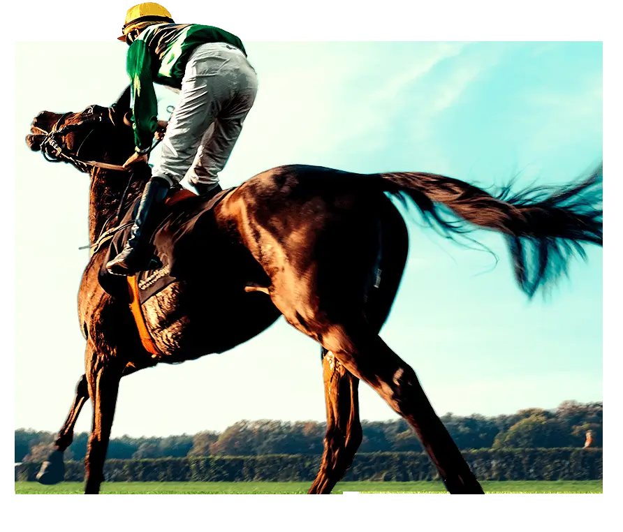 horse racing betting