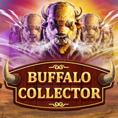 Buffalo Collector