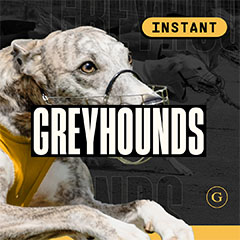 Greyhounds Instant