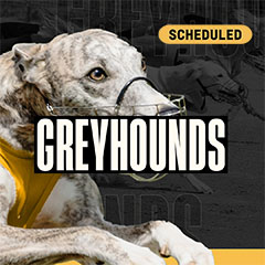 Greyhounds Scheduled