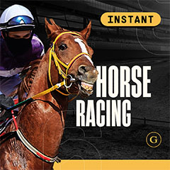 Horses Instant