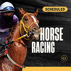 Horses Scheduled