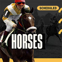 Horses Scheduled QM