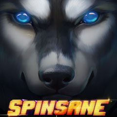 Spinsane
