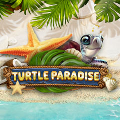 Turtle Paradise
