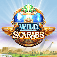 Wild Scarabs