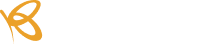flutter wave