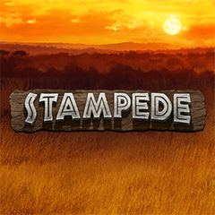 Stampede