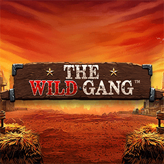 The Wild Gang