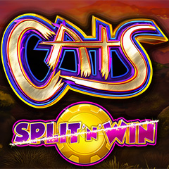 Cats Split N Win