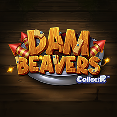 Dam Beavers