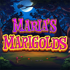 Marias Marigolds