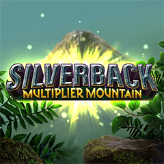 Silverback Multiplier Mountain