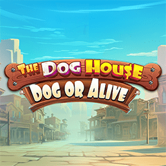 The Dog House Dog Or Alive