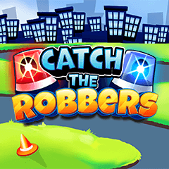 Catch The Robbers